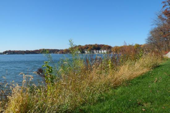 Lance Park