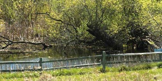 Four Seasons Nature Preserve