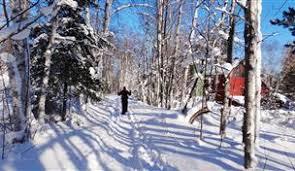 Brownstone Trail