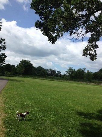 Warner Park