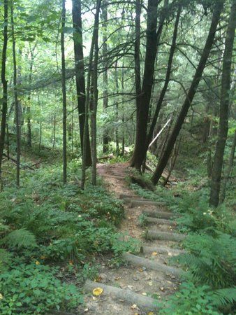 Wildcat Mountain State Park