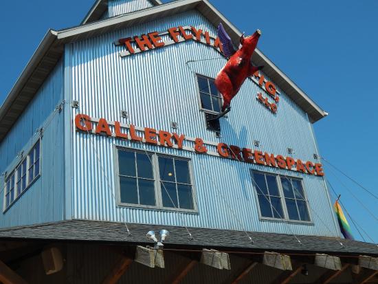 The Flying Pig