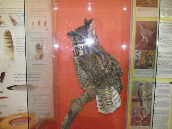 Washington Island Art and Nature Center