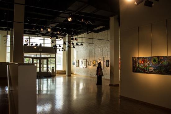 The Center for the Visual Arts