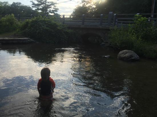 Crystal River
