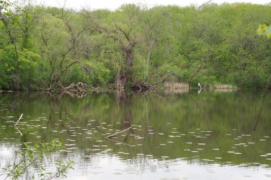Wehr Nature Center