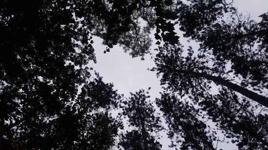 Hartman Creek State Park